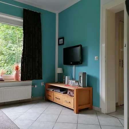 Harzhuisje - Holiday home