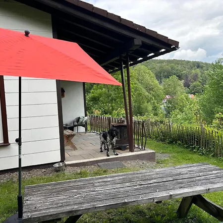 Holiday home Harzhuisje -