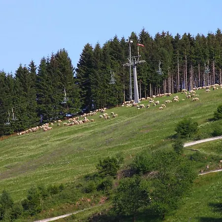 Harzhuisje - Sankt Andreasberg