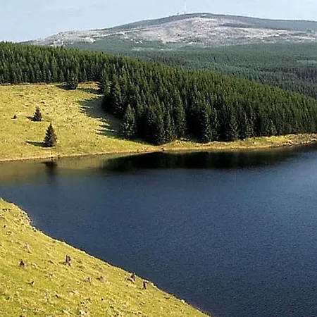 Harzhuisje - Prázdninový dům